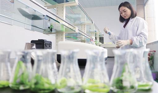 如何排除混子公司找到專業(yè)的上海甲醛檢測機(jī)構(gòu)？